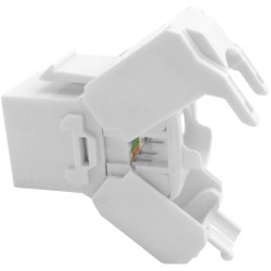 Module Keystone Cat.6 Montage Sans Outil