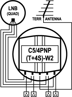 C5/4PNP(T+4S)-W2 (P.107-W)